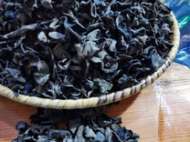 内蒙古 鄂伦春黑木耳，
