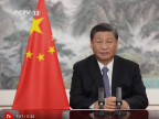 习近平在第五届中国国际进口博览会开幕式上发表致辞 